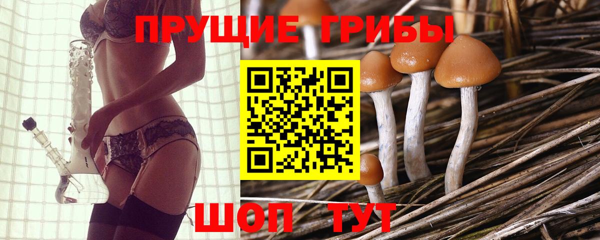 Губкинский  Псилоцибиновые грибы мицелий  Псилоцибиновые грибы прущие грибы  Вход с VPN 